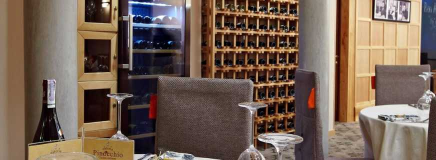 Aperçu des armoires pour restaurants, les nuances de choix