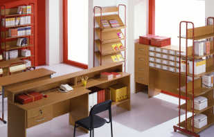 Aperçu du mobilier scolaire, caractéristiques importantes et règles de sélection
