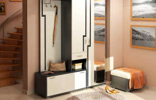 Quelles sont les options de mobilier pour le couloir, comment choisir