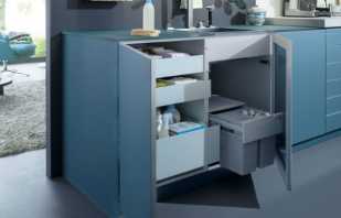 Options d'armoires pour laver dans la cuisine, conseils pour choisir