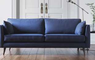 Comment choisir un canapé bleu pour l'intérieur, des combinaisons de couleurs réussies