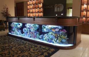 Les nuances de placer une table d'aquarium, de la faire vous-même