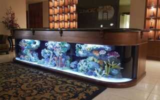 Les nuances de placer une table d'aquarium, de la faire vous-même