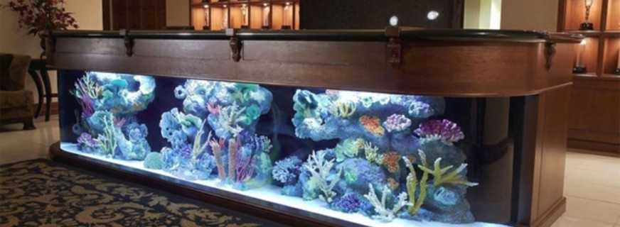 Les nuances de placer une table d'aquarium, de la faire vous-même