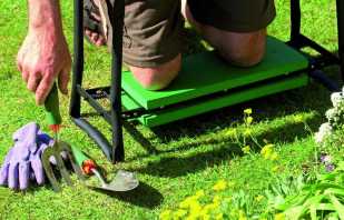 Comment faire un banc universel pour un jardin de vos propres mains