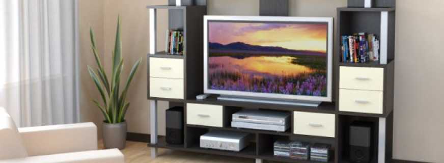 Types de meubles pour TV, designs dans le salon