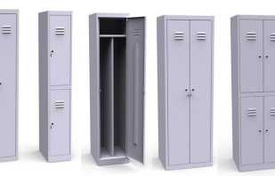 Aperçu des vestiaires métalliques, règles de sélection