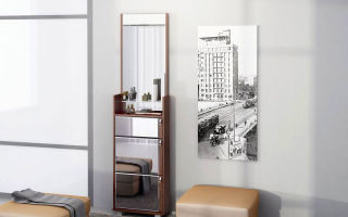 Comment choisir une armoire à chaussures avec un miroir pour le couloir, les modifications existantes