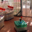 Assemblage bricolage de chaises à partir de bouteilles en plastique, étapes de travail