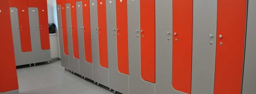 Options de vestiaires du club de remise en forme, conseils de sélection