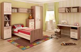 Caractéristiques des meubles pour jeunes, styles populaires, nuances importantes