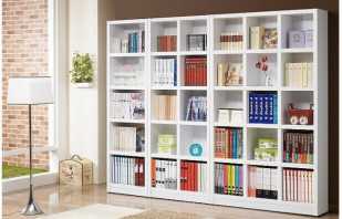 Modèles de bibliothèques blanches qui sont mieux