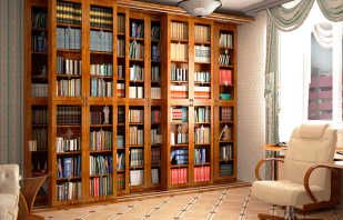 Options pour bibliothèques avec portes en verre et leurs caractéristiques