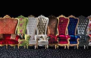 Caractéristiques d'une combinaison d'une chaise trône avec des intérieurs modernes