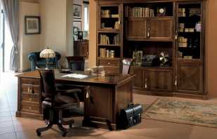 Options de mobilier pour un appartement pour un bureau, un aperçu des ensembles populaires