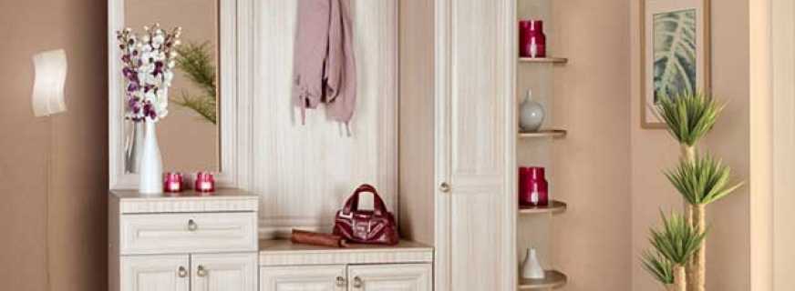 Quelles sont les options pour les meubles dans le couloir d'un style classique, conseils pour choisir