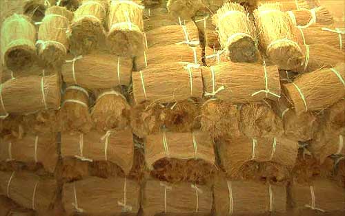 Tour de noix de coco