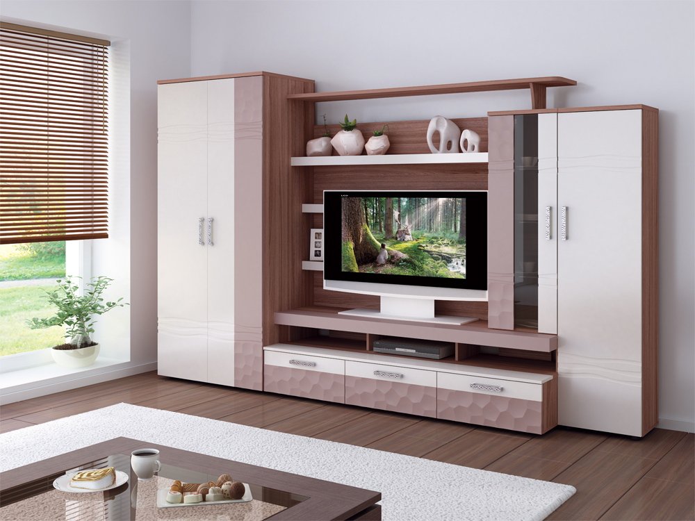 Meubles d'armoire pour aménager un salon