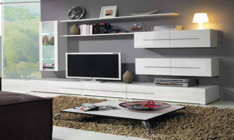 Les meubles de style moderne dans le salon sont magnifiques