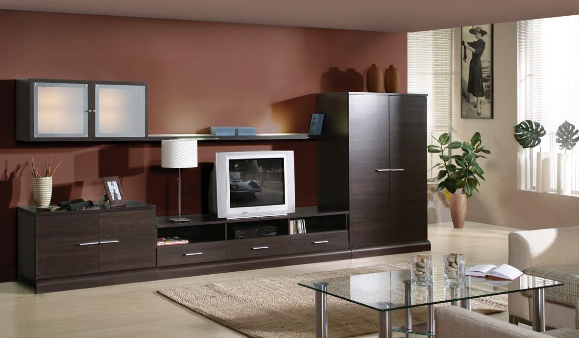 Meubles de salon sombres