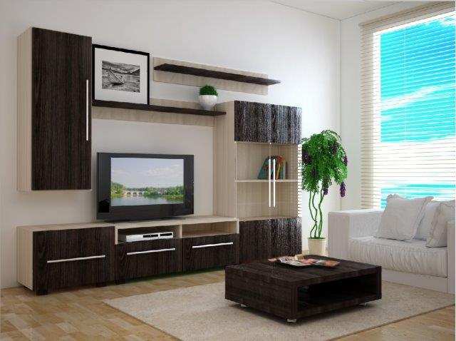 Meubles sombres dans le salon