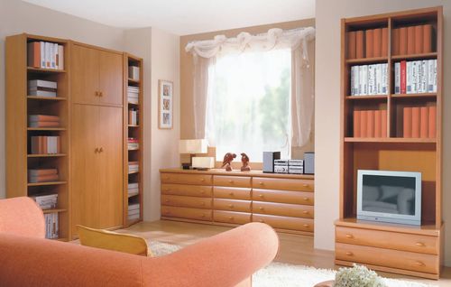 Beaux meubles à l'intérieur