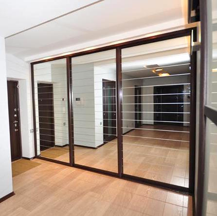 Armoire sombre avec une façade en miroir