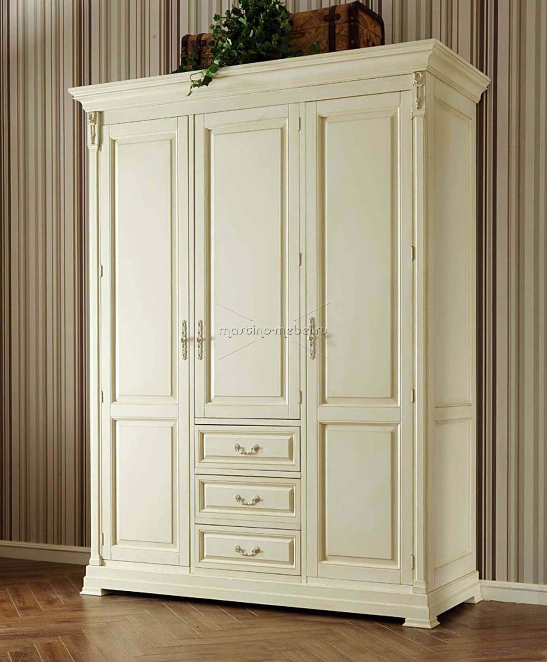 Armoire tricuspide unique