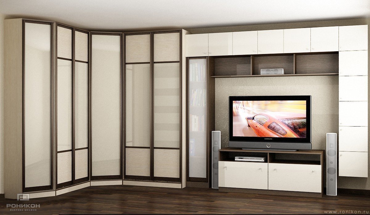 Grand placard avec niche TV