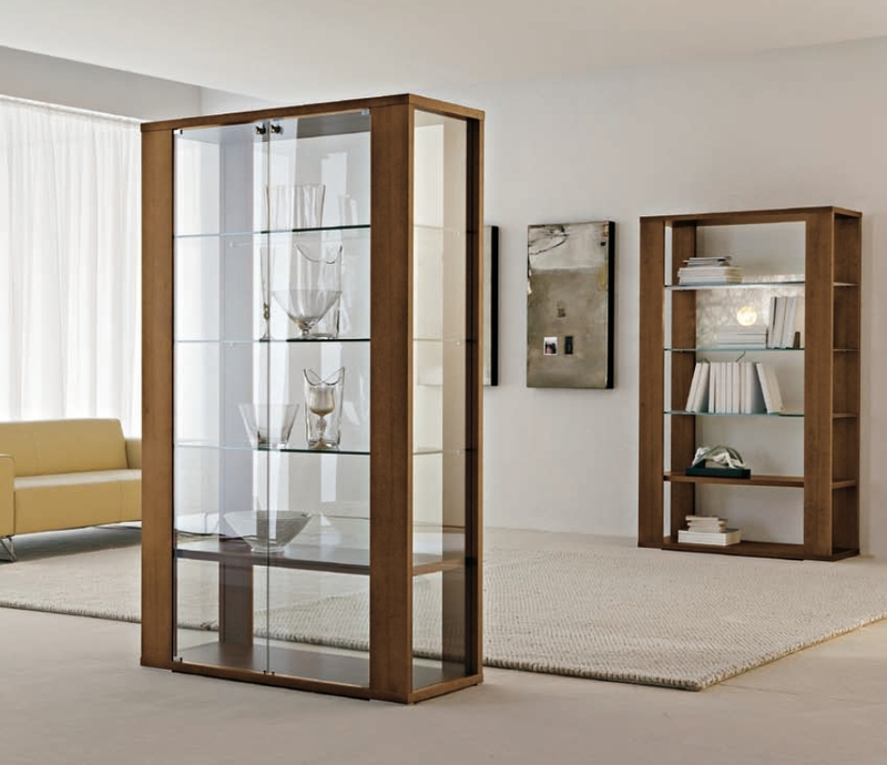 Vitrine en verre pour le salon