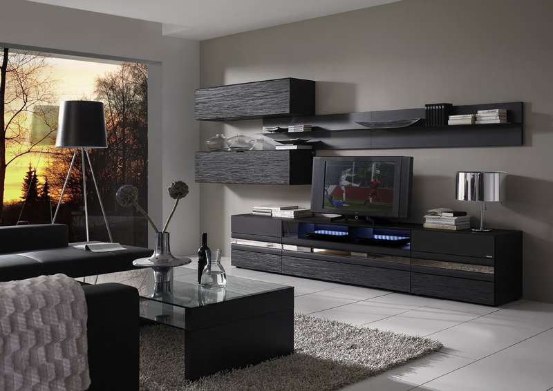 Meubles noirs pour le salon