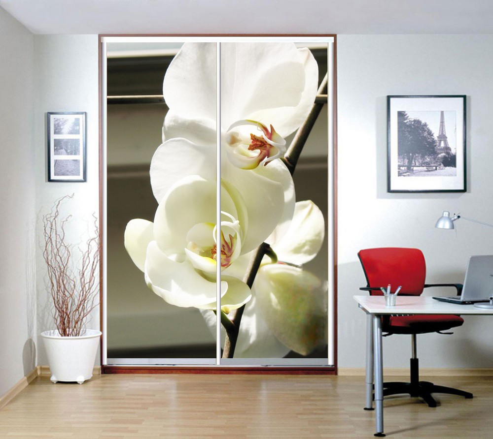 Impression d'orchidée blanche