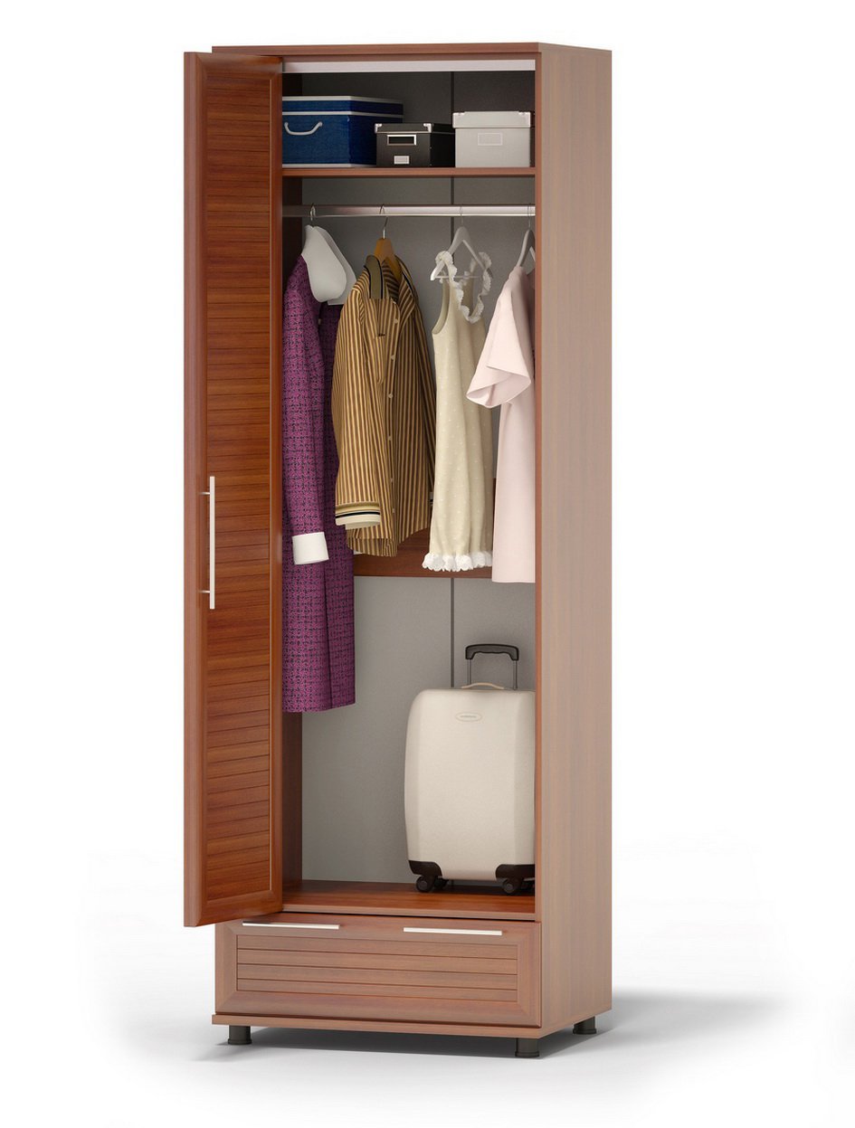 Armoire à porte unique personnalisée