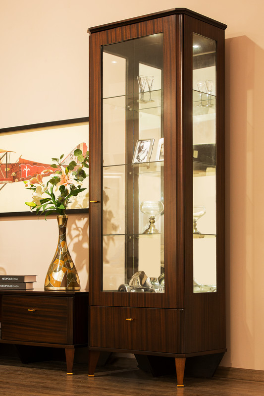 Vitrine à une porte