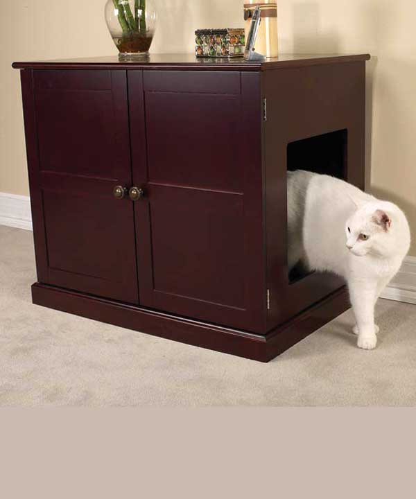 Boîte à chat dans l'appartement