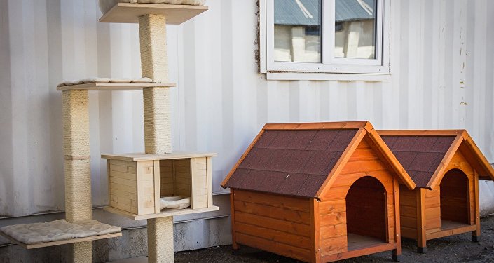 Boîtes pour animaux