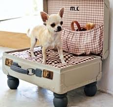 Lit valise pour chiens sur roulettes