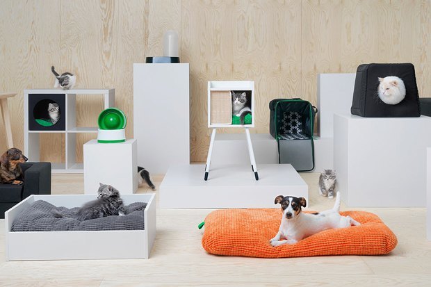 Comment rendre le repos des animaux agréable