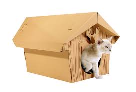 Chalet en carton