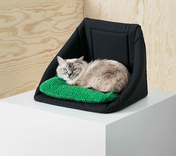 Fauteuil sans cadre pour chats domestiques