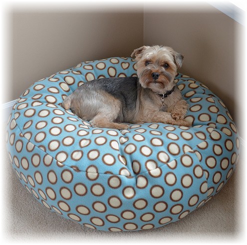 Chaise de sac