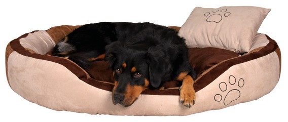 Chaises longues pour chiens et chats