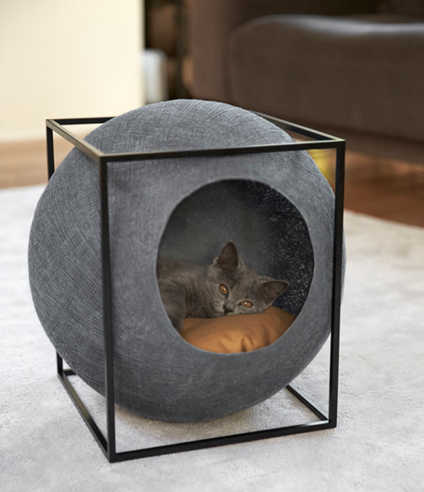 Meubles pour chats difficiles