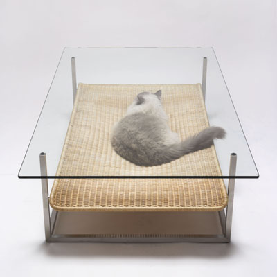 Place pour le chat sous la table