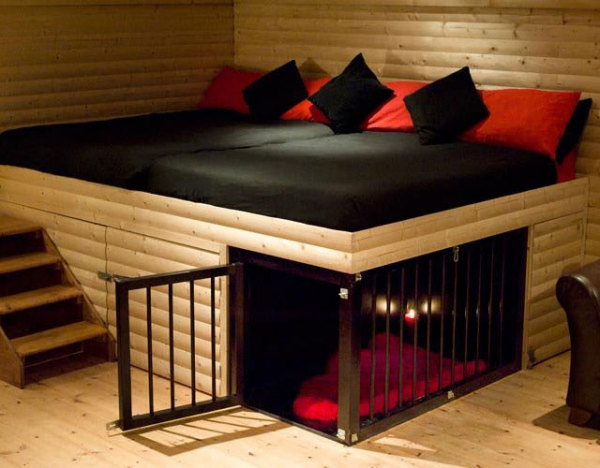 Place pour chien