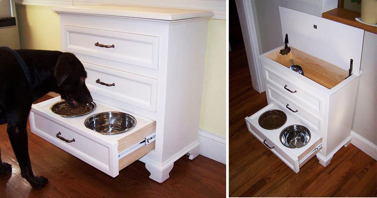 Gamelles pour chiens