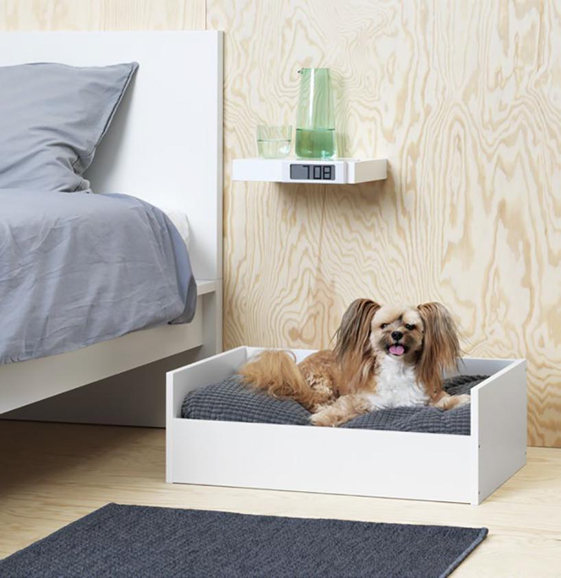 Petit lit pour un petit chien