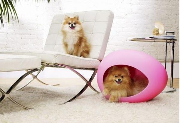 Lit original pour petits animaux