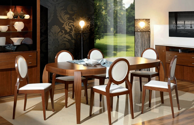 Chaises élégantes pour la salle à manger