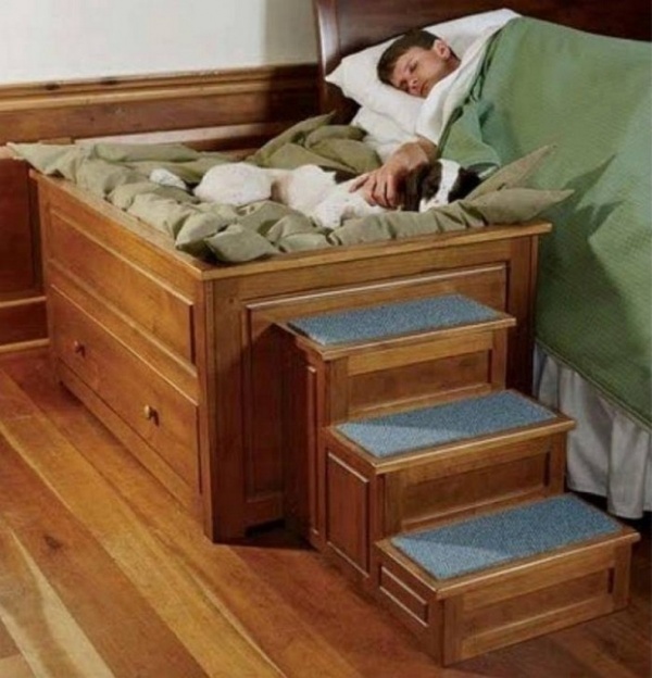 Étapes sur un lit pour chien